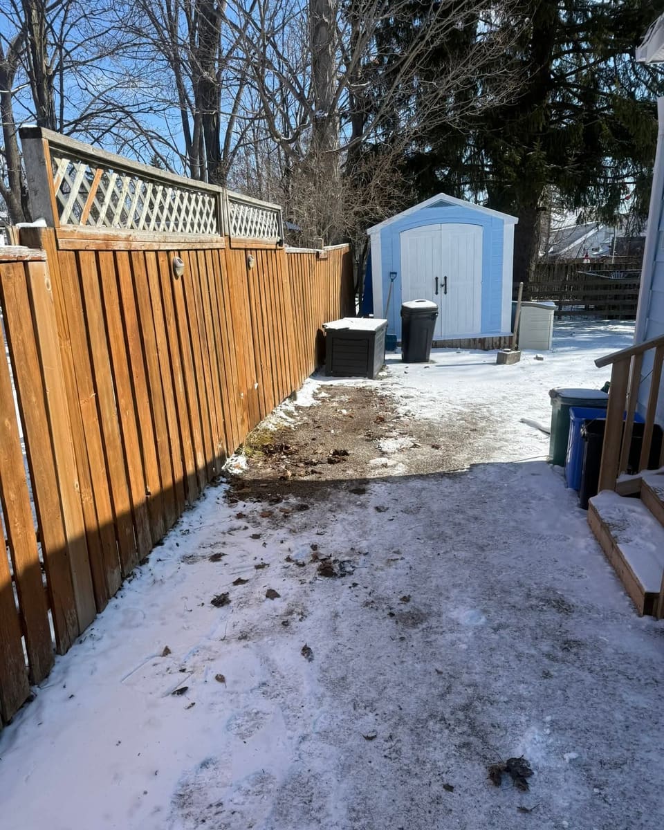 Backyard cleared of junk and debris by Aart's Property Care